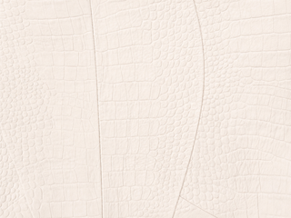 Leather Skirt Sphinx